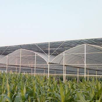 薄膜溫室